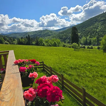 Villa Hasiorowka Dom W Gorach Z Jacuzzi W Cenie *