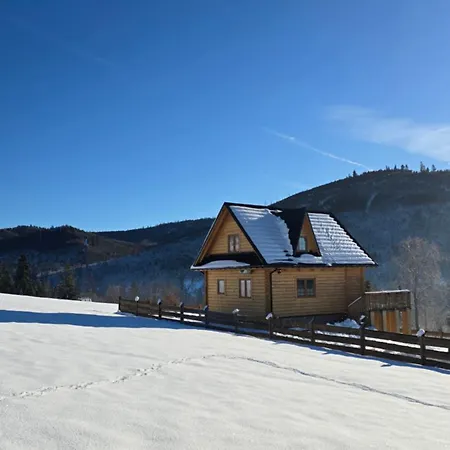 Vila Hasiorowka Dom W Gorach Z Jacuzzi W Cenie