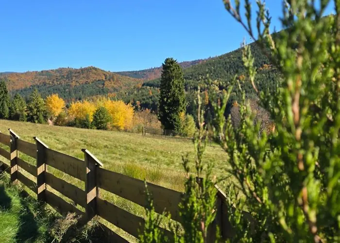 Villa Hasiorowka Dom W Gorach Z Jacuzzi W Cenie Zlatna